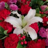 山西大通鴻基房產(chǎn)經(jīng)紀有限公司